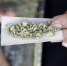 大麻合法化 - 中时电子报