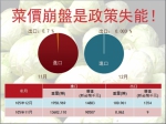 高丽菜价暴跌，张丽善：去年底还进口一万多吨当然跌 - 中时电子报