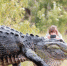 巨鱷 - 中时电子报