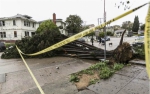 加州暴雨成灾 至少5死 - 中时电子报