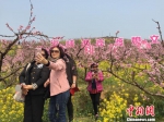 图为海峡两岸婆媳在桃花树下合影留念。　林波 摄 - 台湾新闻-中国新闻网