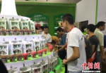 两岸食品休闲化深度合作加速国际市场布局 - 台湾新闻-中国新闻网