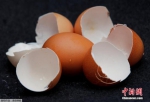 台湾“毒鸡蛋”风波未平 6万颗问题蛋流向不明 - 台湾新闻-中国新闻网