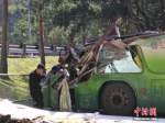 台33死游览车事故侦查终结 司机家属批草率了事 - 台湾新闻-中国新闻网