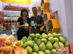 图为台湾沅津果业有限公司的执行董事甘光伯和爱人洪玉蟾把自家的精品水果搬到了展会，并熟悉地操作着微信支付系统。　郭斌 摄 - 台湾新闻-中国新闻网