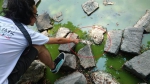 中市儿童公园水池整建引抗议　民眾要求保留原水池抢救生态 - 中时电子报