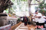 2017年榕台古榕文化节在福州举行 - 台湾新闻-中国新闻网