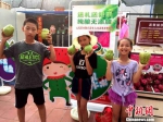 荣杰园注重亲子体验，吸引很多小朋友。　陈悦 摄 - 台湾新闻-中国新闻网