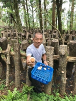 双溪泰平里农友吕崇维 - 中时电子报