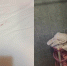 连假入住温泉民宿 客惊见脏毛巾「床单有血渍」 - 中时电子报