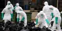 发现H7N9病毒新品种！ 美专家警陆：防造成大流行 - 中时电子报