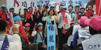 杨丽环宣布参选桃园市长国民党内初选 - 中时电子报