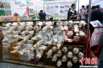 在第十一届中国蘑菇节展会上，一大批代表国际前沿水平的新品种、新产品、新技术、新装备集中展示。　张金川 摄 - 台湾新闻-中国新闻网