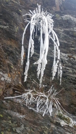 美呆了！玉山中午降下初雪 - 中时电子报