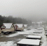 积雪10公分！福寿山农场急冻 一夜变北国世界 - 中时电子报