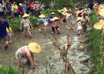 2／2「世界湿地日」！周日来动物园找「蛙蛙」 - 中时电子报