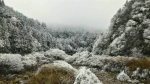 武陵农场降冰霰 翠绿山林换穿雪衣 - 中时电子报