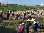 灵鹫山师兄姐 净滩爱地球 - 中时电子报