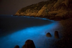 萤光熠熠耀海面 在日本鸟取发现「蓝眼泪」自然奇景 - 中时电子报