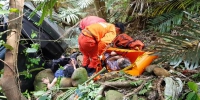 关西小巴翻落10公尺边坡 11人散落丛林待救 - 中时电子报