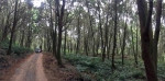 金龙山辟森林生态步道 营造溪头FU - 中时电子报