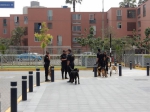 APEC场内外戒备 防暴犬盾牌警察随处可见 - 中时电子报