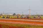 太保花海节涌进大量人潮与车潮 - 中时电子报