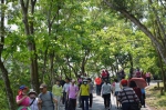 员林艺桐起飞 藤山步道漫步、野餐、赏桐趣 - 中时电子报