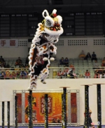 金门狮王争霸赛  新加坡夺冠 - 中时电子报