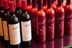 Penfolds Max’s大师系列即日起于全台橡木桶洋酒门市开始贩售 - 中时电子报