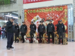 中和赠春联 警犬队陪伴迎接狗年 - 中时电子报