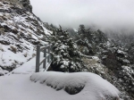 影》玉山静山首日晨雪 排云积雪10公分 - 中时电子报