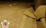 花莲一晚连七震 规模最大5.8 太鲁阁5级 苏花公路落石中断 - 中时电子报