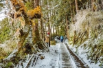 最「暖」雪景！儿带母坐轮椅追雪 网友直呼感动 - 中时电子报