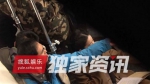 神仙姐姐分手宋承宪 刘亦菲身边出现新男伴 - 中时电子报