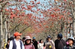 影》木棉花节厕所「透视」 瞄到如厕画面尷尬 - 中时电子报