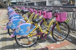 金门Kbike「中弹」 疑遭BB枪搞破坏 - 中时电子报