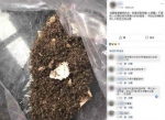 捕蚊灯抺雪芙兰能享受收尸快感？网：难怪我总被叮 - 中时电子报